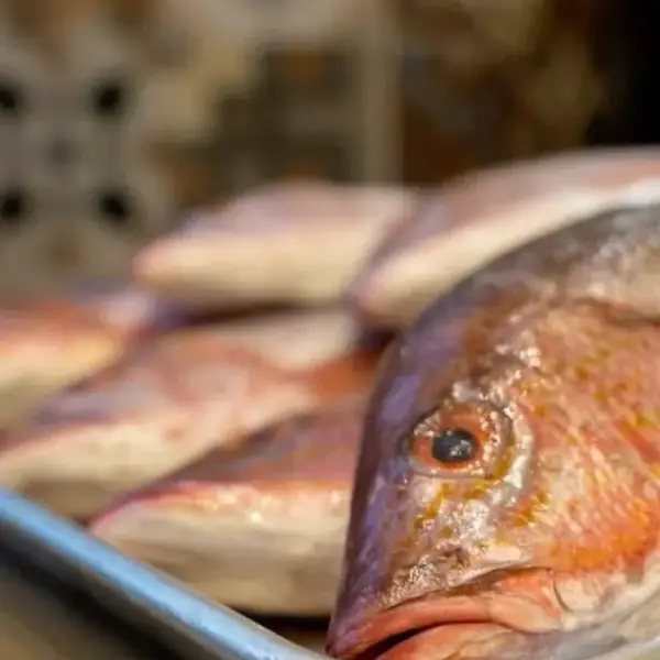 Fresh red snapper ready for the grill